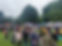 Packed field.jpg