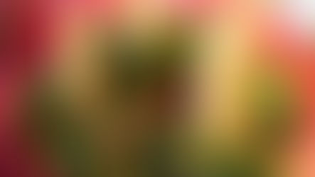 Last Minute Adventsfreude: Der perfekte Adventskalender und Adventskranz für die Festtage