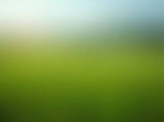 Maximizing Operations Efficiency in Agriculture Consulting