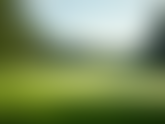 Expert Strategies for Golf Course Management Success