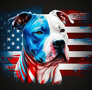 Pit Bull Stars and Stripes .jpg