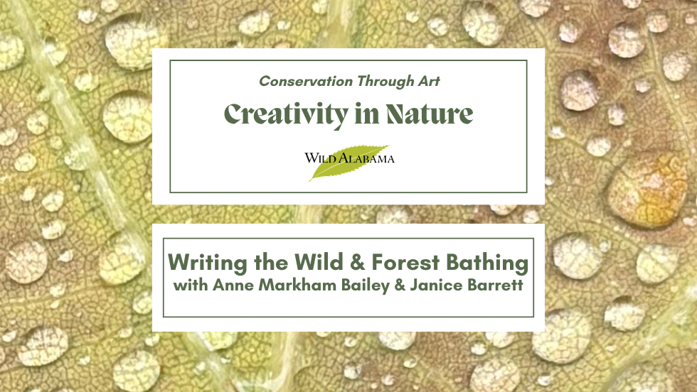 Writing the Wild