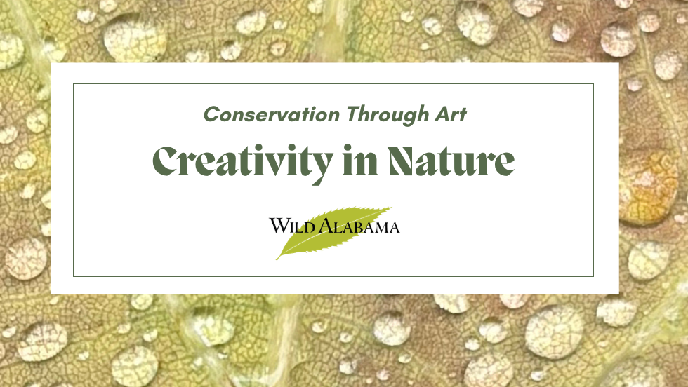 Forest Talk & Nature Journal Workshop