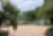 1B2A9765-2C99-469A-AD2E-C6428BAEE532_edited.jpg
