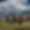 mizzywhiz_Alpine_wyoming_tetons_national_park_yellowstone_wild__f5ced264-33fb-4881-9b1e-ef