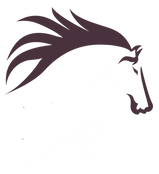 Version_2.png
