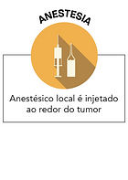 infografico-1.png