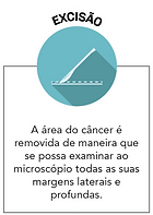 infografico-2.png