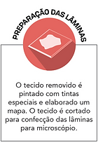 infografico-3.png