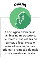 infografico-4.png
