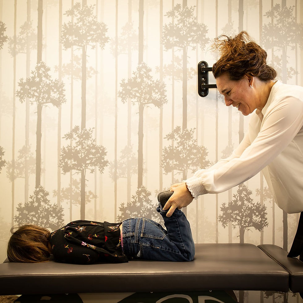 Close-up view of a spine model used in chiropractic education