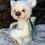 Thumbnail: [SOLD] SLEEPY [11" Steiff-Schulte Curly Kid Mohair, White]