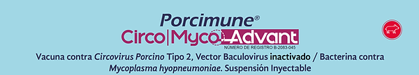 Porcimune CircoMyco Advant.png