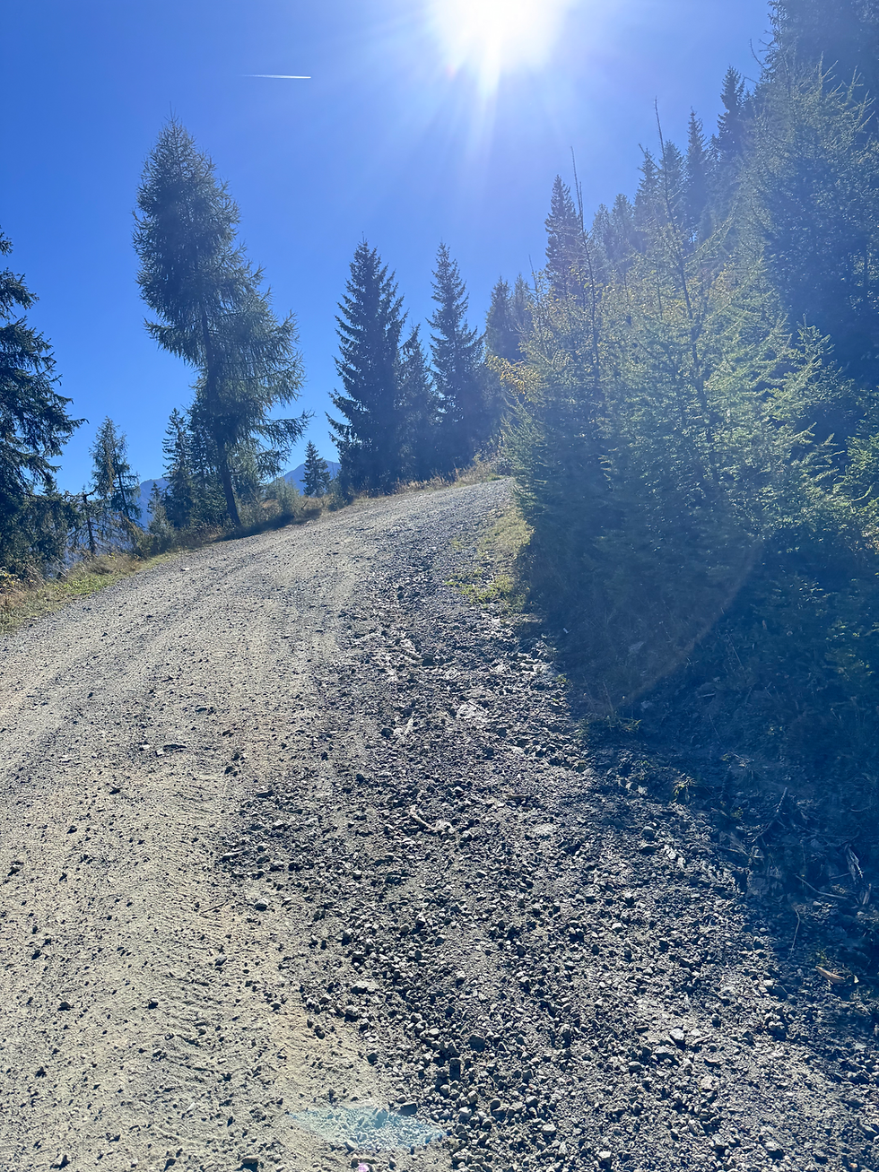 Weg Richtung Thurntaler