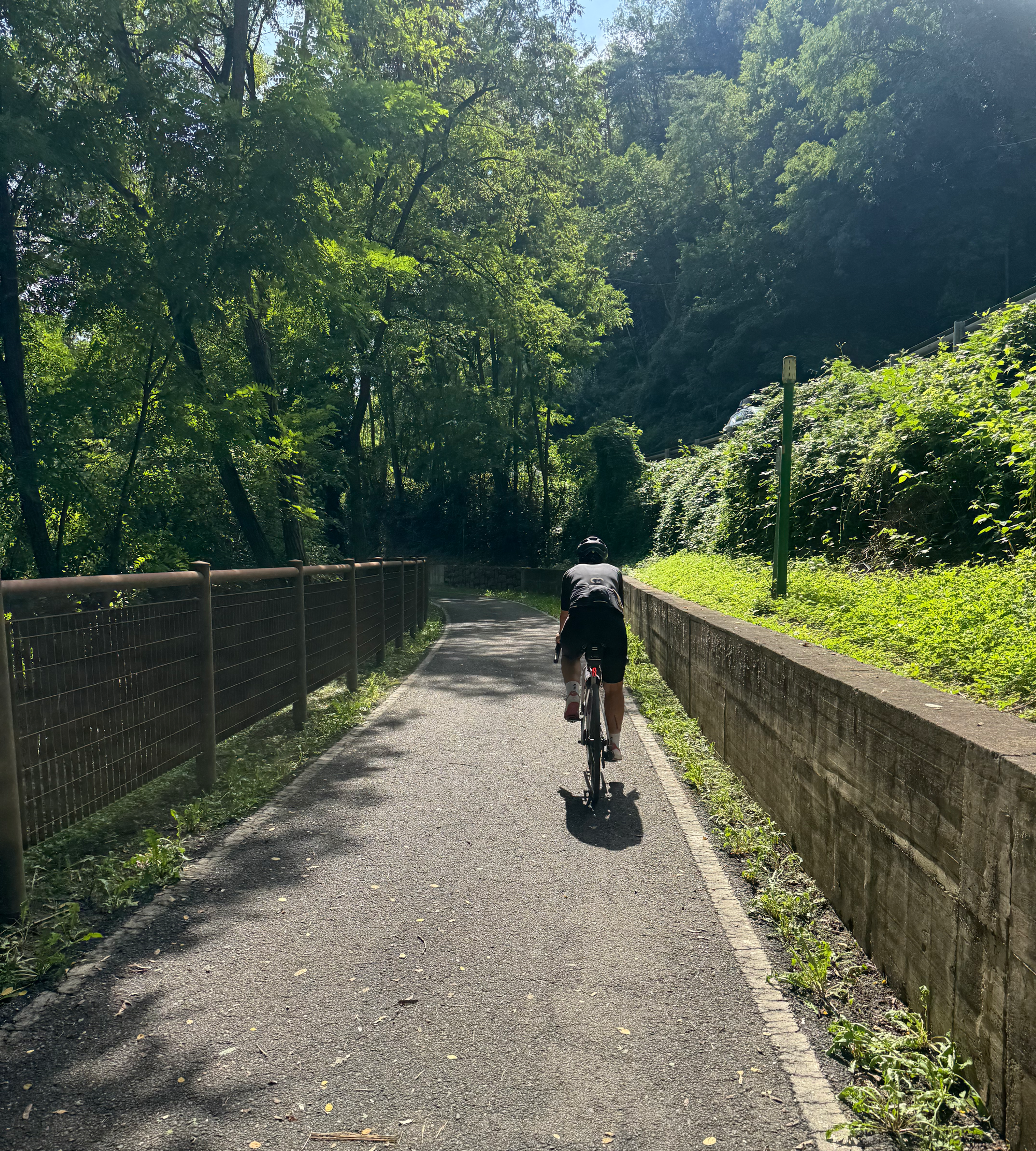 Radweg Richtung Bozen