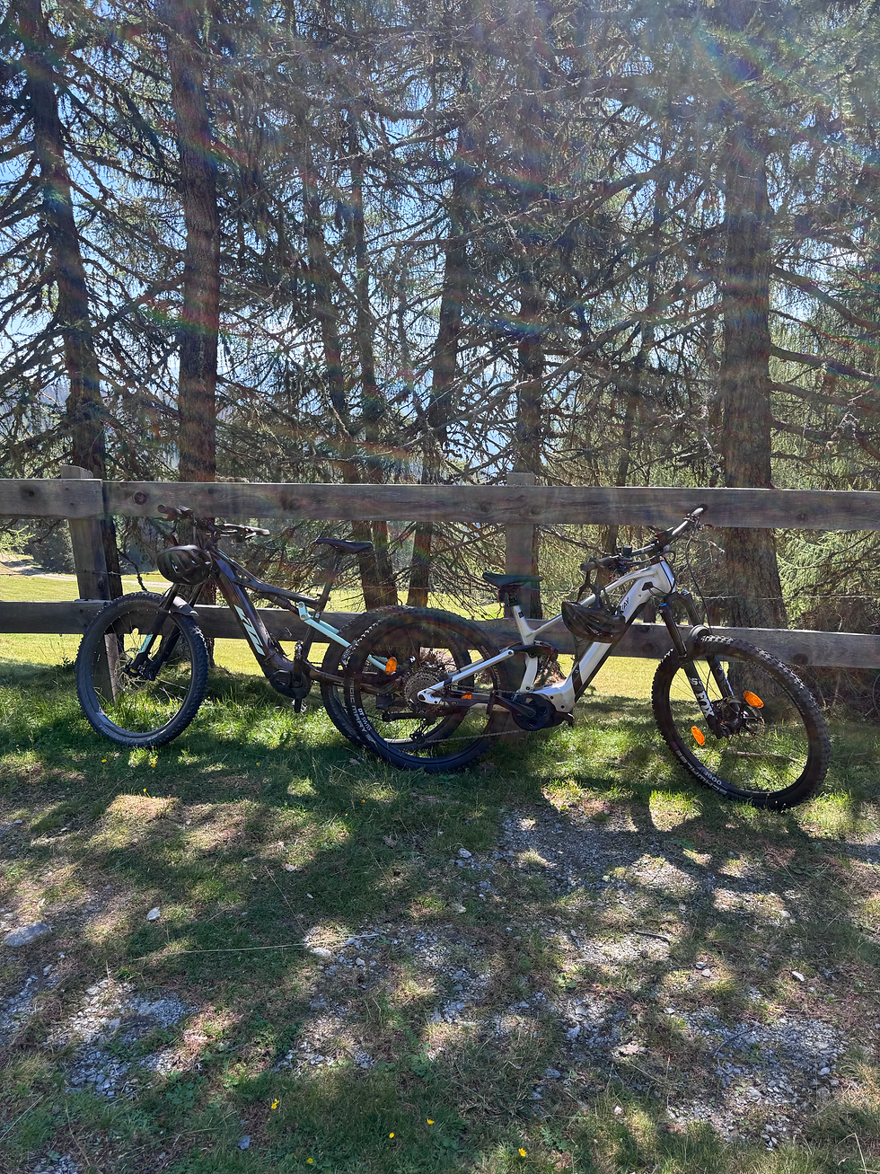 E-Bike auf der Tessenberger Alm