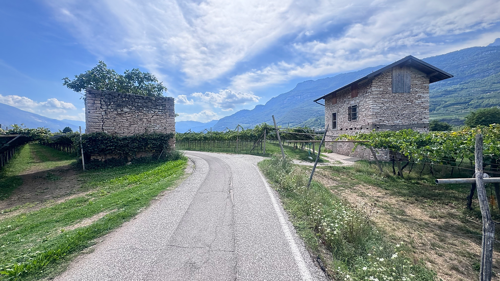 Radweg Richtung Riva del Garda