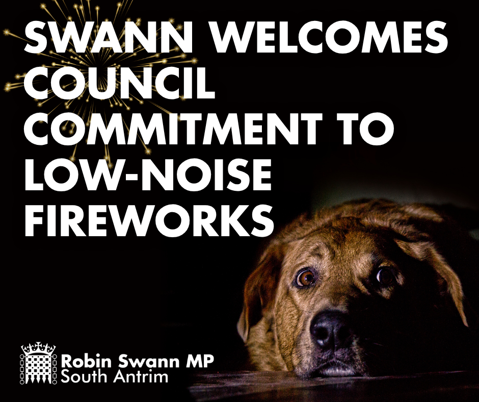Swann Welcomes Council Commitment to Low-Noise Fireworks