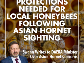 Swann Writes to DAERA Minister Over Asian Hornet Concerns