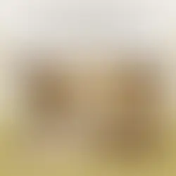 50 Best Minimalist Japandi Style Kitchen Design Ideas: Achieving a Calm, Serene Space