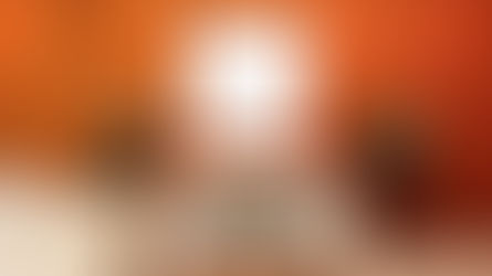 Burnt Orange Paint Colors Walls