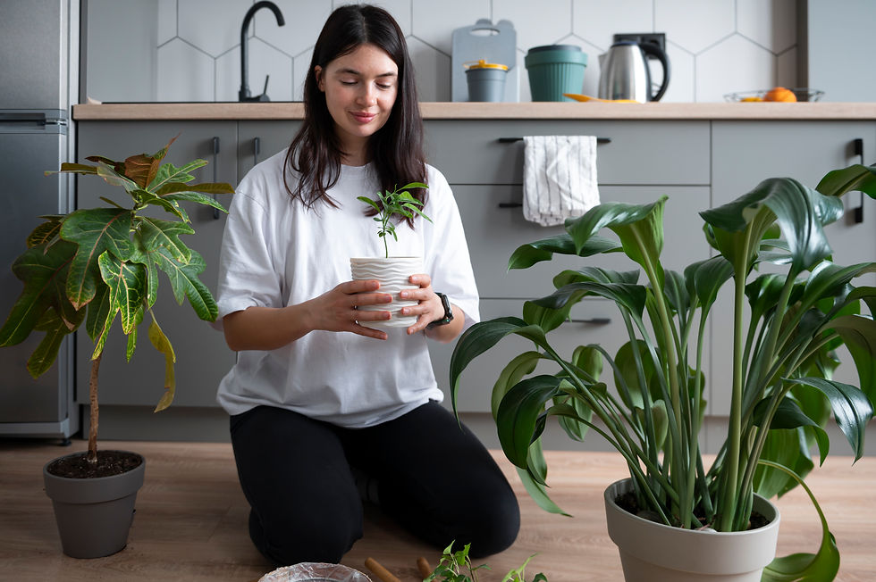 Woman in a white shirt potting a plant, surrounded by houseplants in a modern kitchen with gray cabinets. Calm and focused atmosphere.