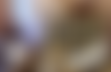 Contemporary Craftsman Interior Design Trends