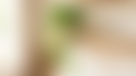 Pothos Plant Care: The Easiest Houseplant for Everyone