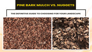 Pine Bark Mulch vs. Nuggets: The Definitive Guide to Choosing for Your Landscape