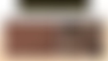 Pine Bark Mulch vs. Nuggets: The Definitive Guide to Choosing for Your Landscape