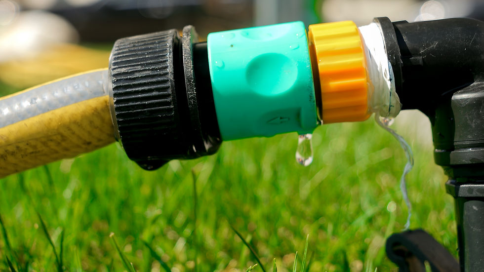 Close-up of a yellow garden hose with green and orange connectors, slightly leaking water onto green grass in a sunny setting.