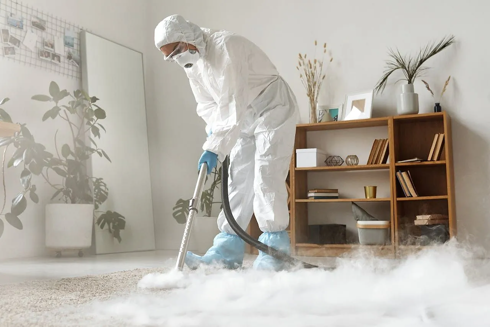 Person in protective gear cleans carpet with steam vacuum in a modern room with plants and shelves. Soft lighting and neutral tones.