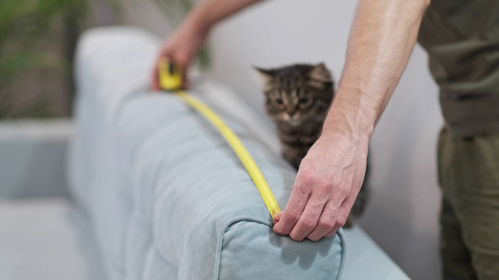 Step-by-Step Guide to Measuring Your Sofa