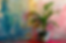 Potted palm plant against a colorful abstract wall with blue, pink, and yellow brush strokes. Mood is vibrant and artistic.