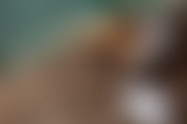 Stop Wasting Money: The Ultimate Guide to Pool Leak Detection (And How to Fix It Fast)