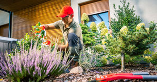 Essential Tips for Home Garden Landscaping