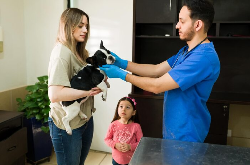 Woman holds a black and white dog while a vet in blue scrubs examines it. A young girl watches. Indoor clinic setting, calm mood.
