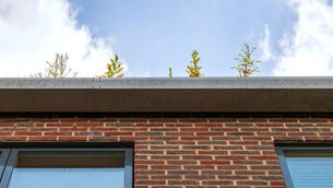 Understanding the Importance of Roof Eaves