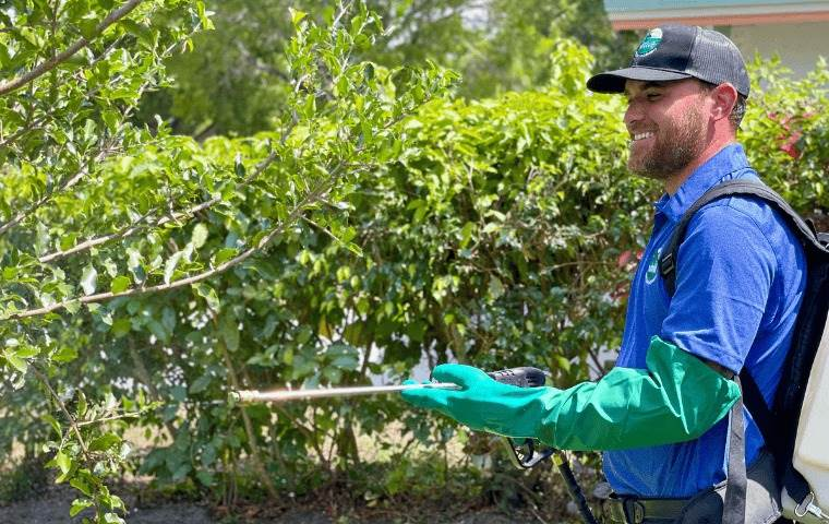 Man in blue shirt and green gloves sprays plants in garden. He's smiling, wearing a cap, with lush greenery in the background.