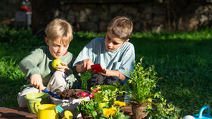 Two boys gardening in a sunny yard, planting flowers in pots. One holds an apple, the other uses a red trowel. Green grass surrounds them.