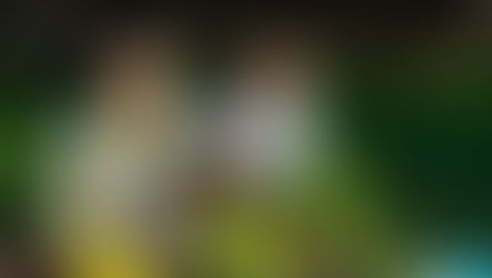 Two boys gardening in a sunny yard, planting flowers in pots. One holds an apple, the other uses a red trowel. Green grass surrounds them.