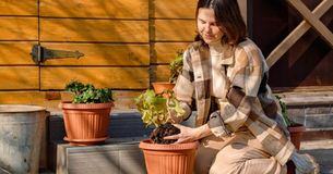 Tips for Successful Patio Gardening Beginners