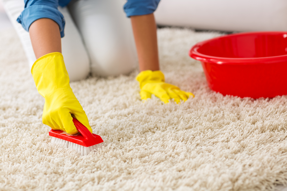 Person in yellow gloves scrubs a cream carpet with a red brush; red bucket nearby. Clean and focused setting, emphasizing cleaning task.