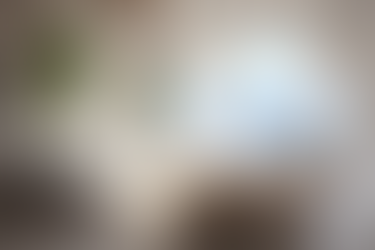 Breezy Seaside Interior Design Inspirations