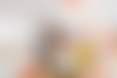 Top Interior Designers in Brighton