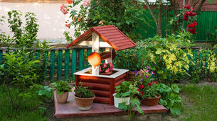 Creative Small Garden Ideas for Urban Homes