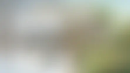 Split image of a house in winter and summer, highlighting pest control. Winter: pests seeking shelter, worker spraying snow. Summer: pests active, worker treating lawn.