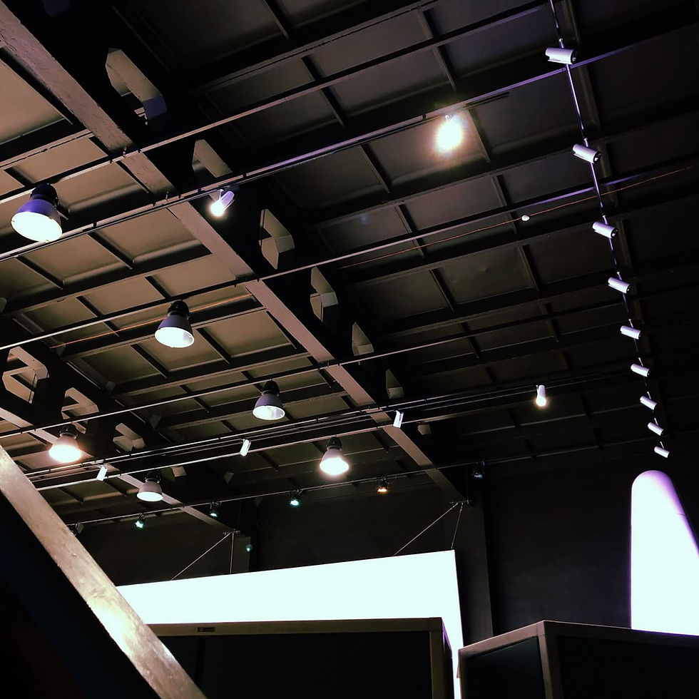 Ceiling with black grid pattern and industrial spotlights in a dimly lit space. Dramatic shadows and a white wall add contrast.