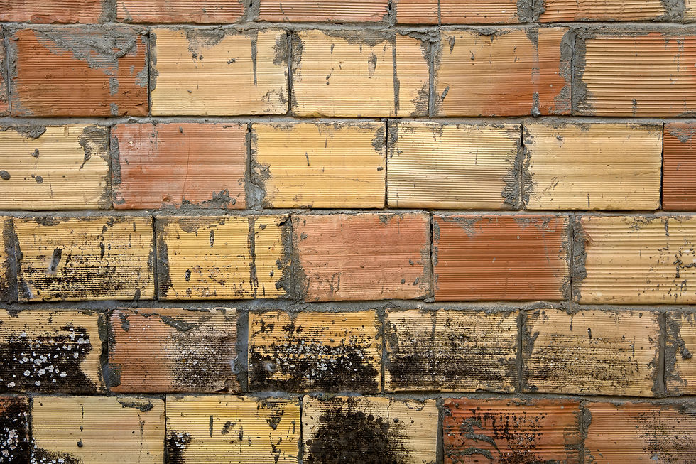 Close-up of a weathered brick wall with tan and orange bricks. Dark patches and peeling mortar add a rustic texture. No text visible.