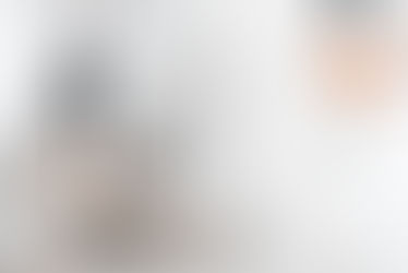 The Ultimate Guide to Pest Control in Rosenberg, TX: Protect Your Home Now